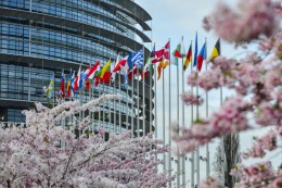 Parlament Europejski debatuje o 4 Szczycie Partnerstwa Wschodniego w Rydze