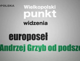 Andrzej Grzyb od podszewki