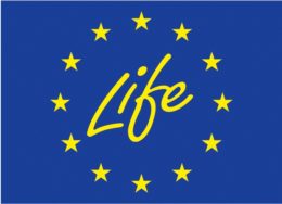 Unijny program “Life” – działania na rzecz klimatu