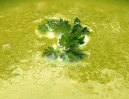 Zielona zupa – konkurs kulinarny