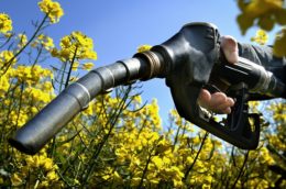 O przyszłości biopaliw