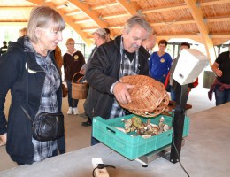 "Mikstackie grzybobranie" – koszyki pełne jesiennych skarbów
