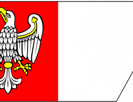 98. rocznica Powstania Wielkopolskiego