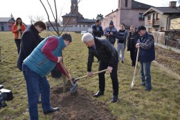 6 tysięcy drzew w ramach akcji Drzewo dla Polski