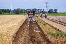 Uproszczona i sprawiedliwsza polityka rolna w UE