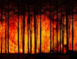 Zmiany klimatyczne, a pożary lasów w Europie