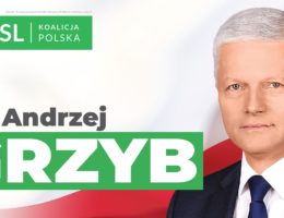 Wybory do Sejmu RP 2019
